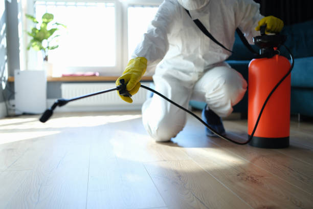 Reliable Odor Removal contractor in Lebanon, OR by Trauma Clean Pros